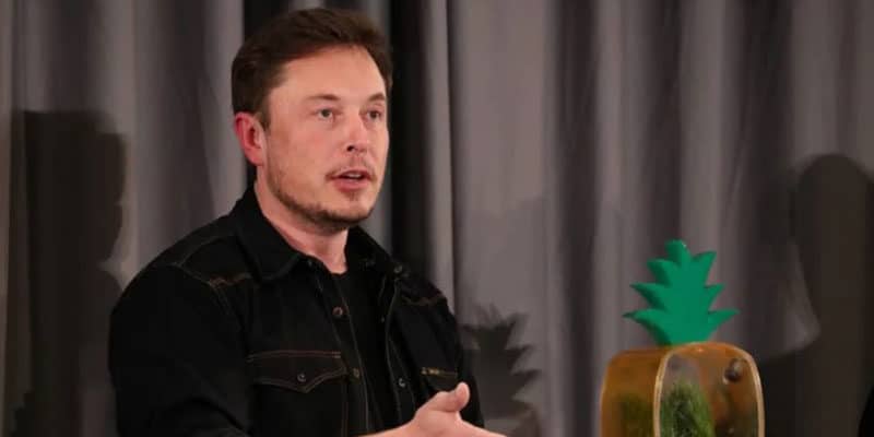 Tesla Stock Gyrations Reignite Speculation of an Acquisition by Apple