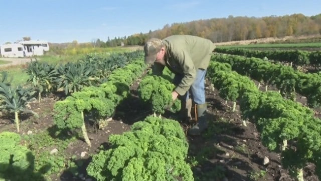 Veggie prices headed up?