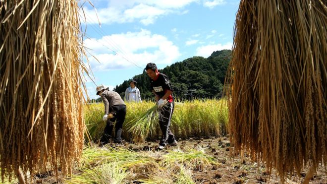 Japan may loosen immigration rules for blue-collar workers