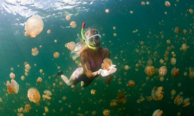 Pacific island to introduce world-first ‘reef-toxic’ sunscreen ban