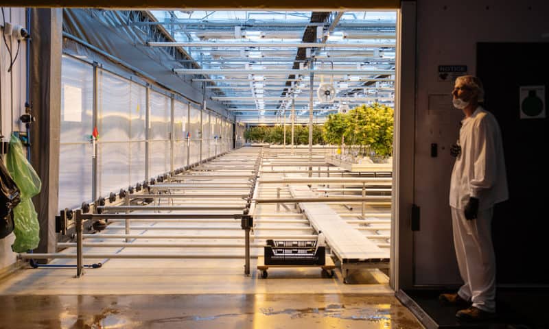 CannTrust makes its case as a major Canadian weed producer