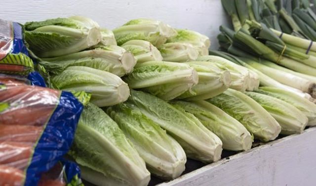 Romaine OK to eat again