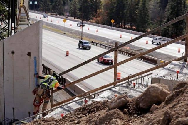 Why did the elk cross road?