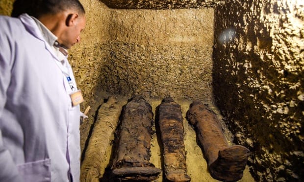 Tomb Containing 50 Mummies Uncovered In Egypt - Biotech Today