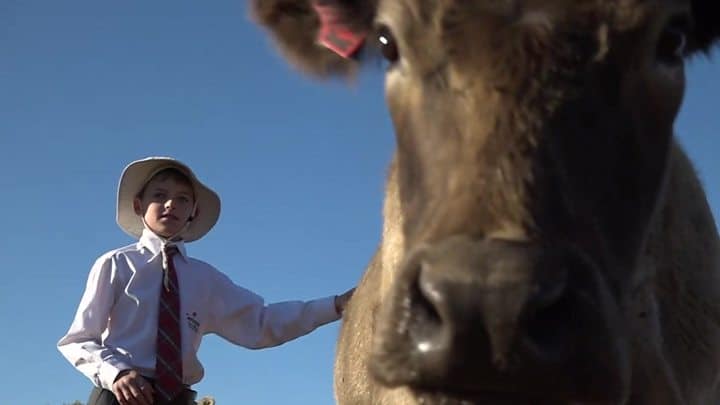 Australia’s drought leading to ‘suffering’ of children, UN warns