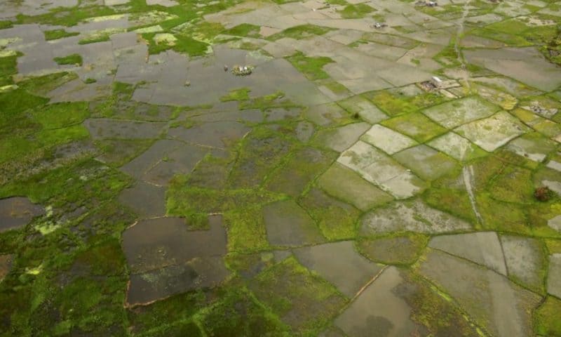 IMF Gives Mozambique $118 Million for Cyclone Idai Rebuilding