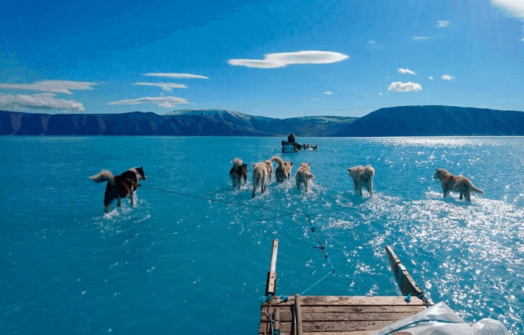 Climate Talks Held as Arctic Ice Melts, Concerns Grow