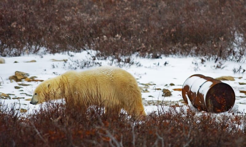 Oil just fell into a bear market — here’s why