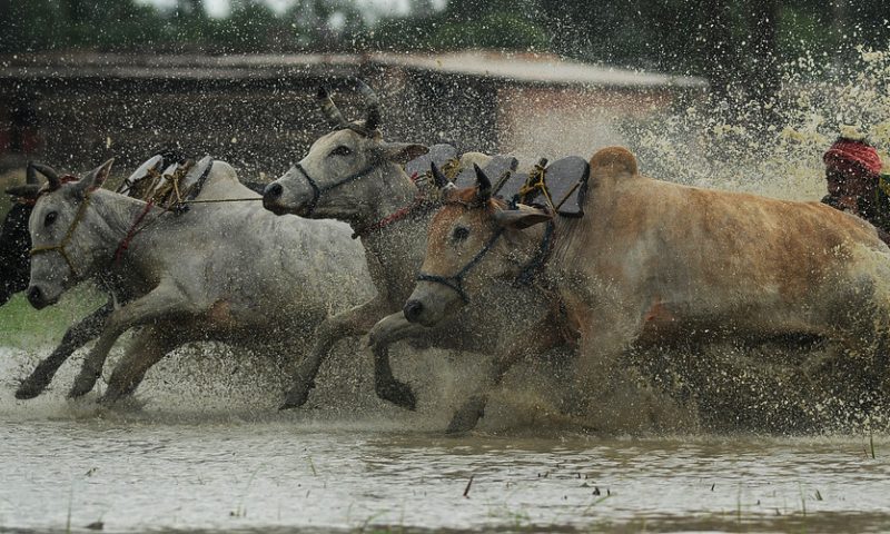 Stocks could surge on cusp of huge buying signal, says Bank of America Merrill Lynch