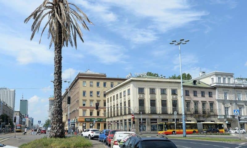 Warsaw’s Plastic Palm Tree ‘Dies’ to Mark Climate Threat