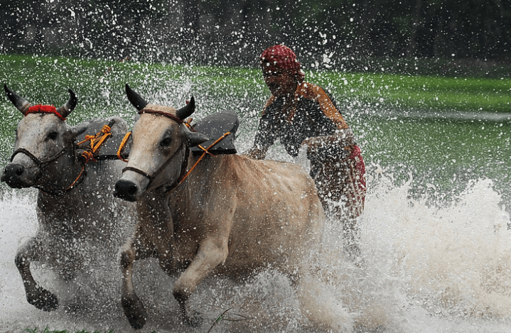 Technical indicators say stay bullish on stocks