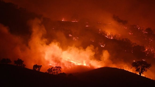 Australia fires: Employee brands News Corp coverage ‘irresponsible’