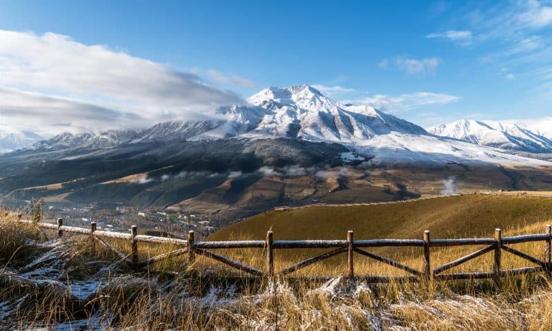 Ancient viruses never observed by humans discovered in Tibetan glacier