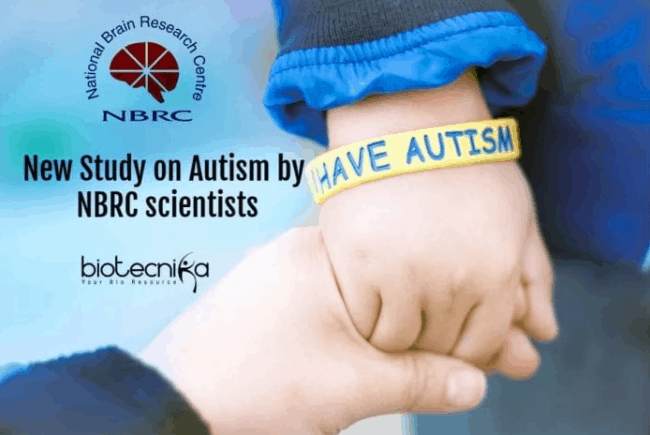 New Human-Based Model By NBRC Scientists To Understand Autism Better