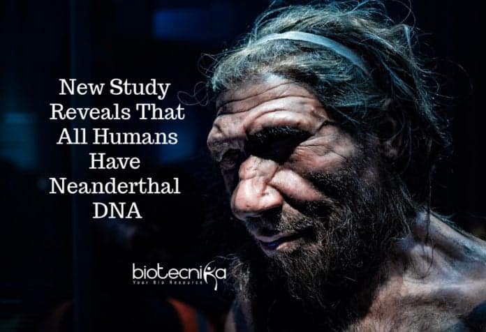 Do All Humans Have Ancestral Neanderthal DNA? New Study Reveals