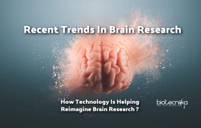 Recent Trends In Brain Research – Decoding Mysteries of Human Brain
