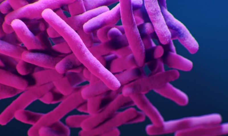 Researchers develop novel therapy to combat antibiotic resistant superbug infections