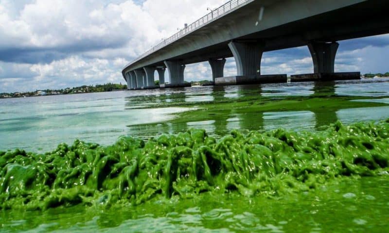 Study provides evidence of aerosol exposure to microcystins among coastal residents