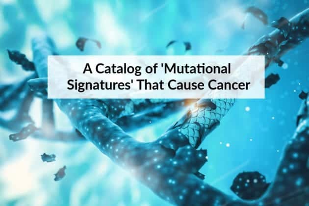 Huge Catalog Of Mutations That Leads To Cancer Created