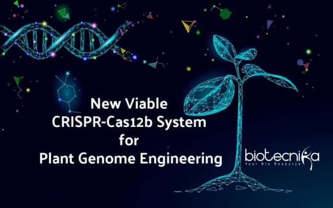 New Viable CRISPR-Cas12b System for Plant Genome Engineering By UMD Researcher