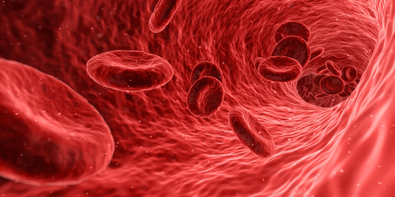 Sigilon picks up $80M to test hemophilia cell therapy in humans