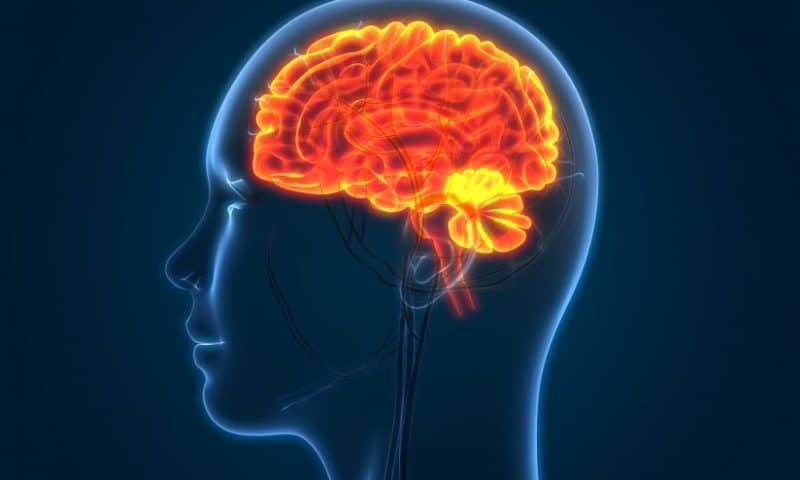 Research could provide more effective way to treat brain swelling after stroke