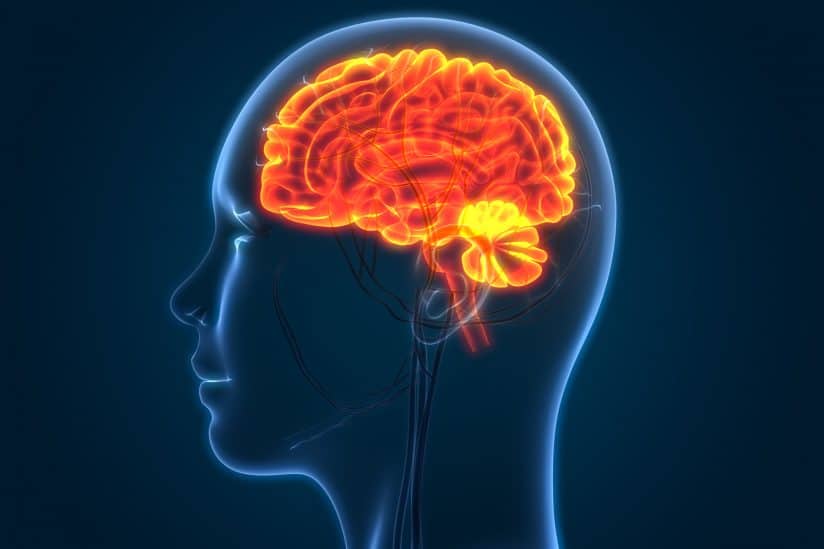 Research could provide more effective way to treat brain swelling after ...