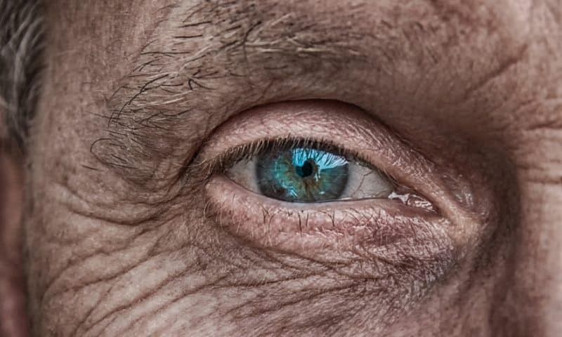 Reprogrammed skin cells restore sight in mouse models of retinal disease