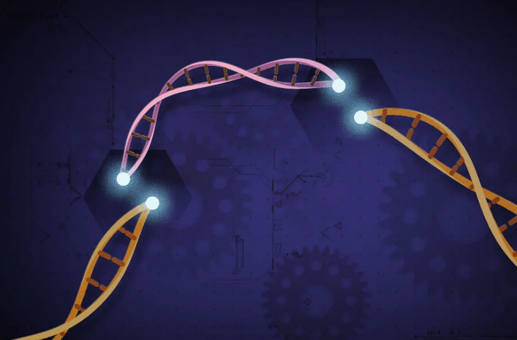 GSK taps Mammoth Biosciences to develop a CRISPR-based, over-the-counter coronavirus test