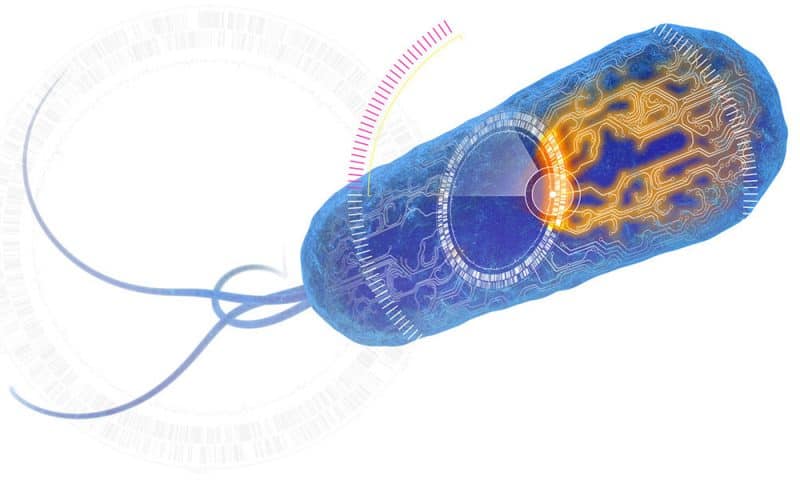 Synlogic Announces Termination of AbbVie Collaboration Agreement