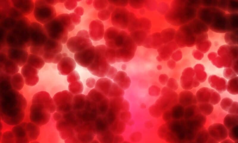 NCI develops viral antibody blood test to boost liver cancer screening