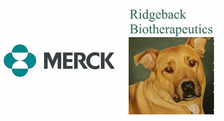 Merck and Ridgeback Bio Announce Closing of Collaboration and Licensing Transaction