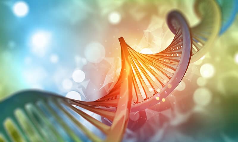Doudna’s team identifies new ‘hypercompact’ CRISPR enzyme