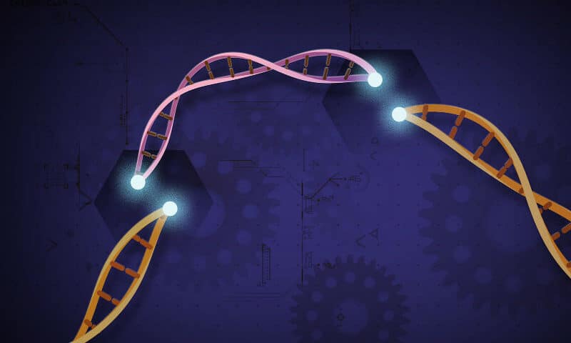 Using CRISPR to improve viral vectors for gene therapy