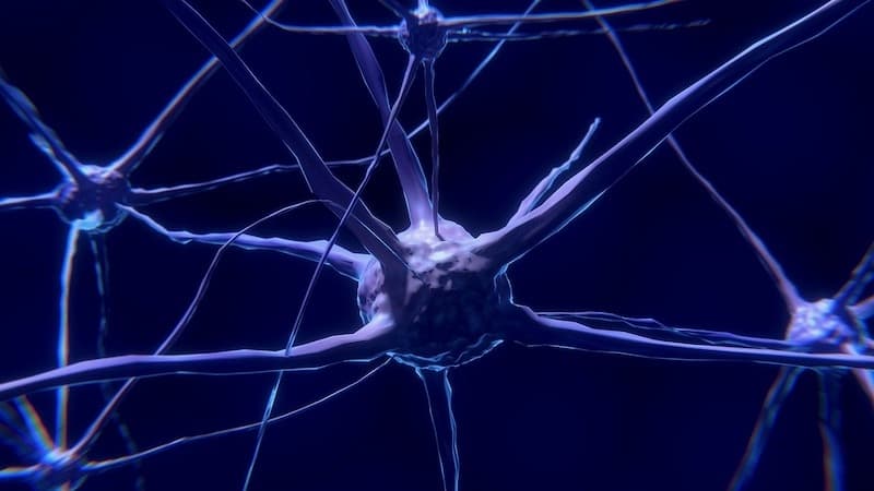 Amylyx’s neuron-protecting drug slows ALS decline in late-phase study