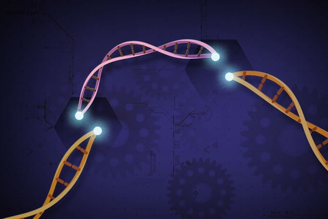 Intellia to kickstart first single-course ‘curative’ CRISPR shot, as it hopes to beat rivals Alnylam, Ionis and Pfizer