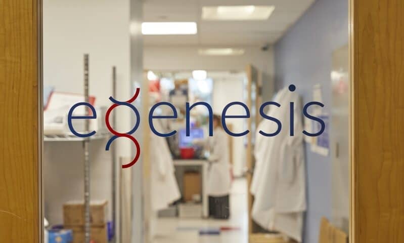 EGenesis taps Duke to help develop insulin-producing pancreas cell xenotransplants