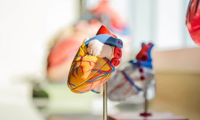 AHA: Digital monitoring study finds high rates of hidden atrial fibrillation after heart surgery