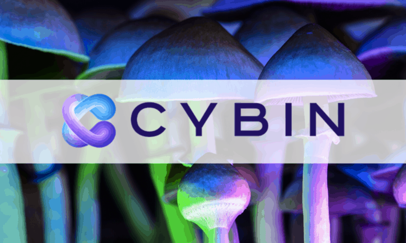 Cybin Announces First Quarter Financial Results of Clarmin Explorations Inc.