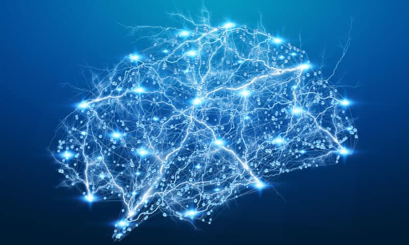 Cambridge, Lund University spinout Wren pens Eisai neuro research pact