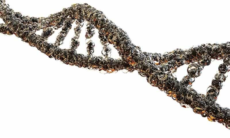 Remix Therapeutics debuts with $81M to ‘reprogram’ disease-causing RNA