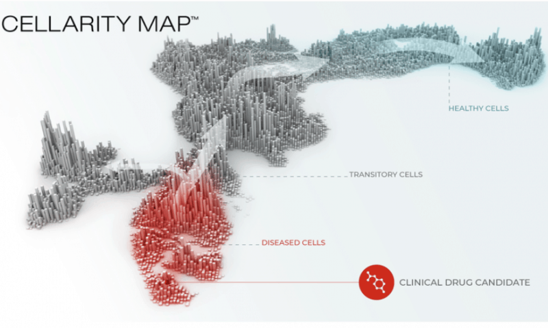 Cellarity nets $123M to drive cell behavior pipeline toward clinic