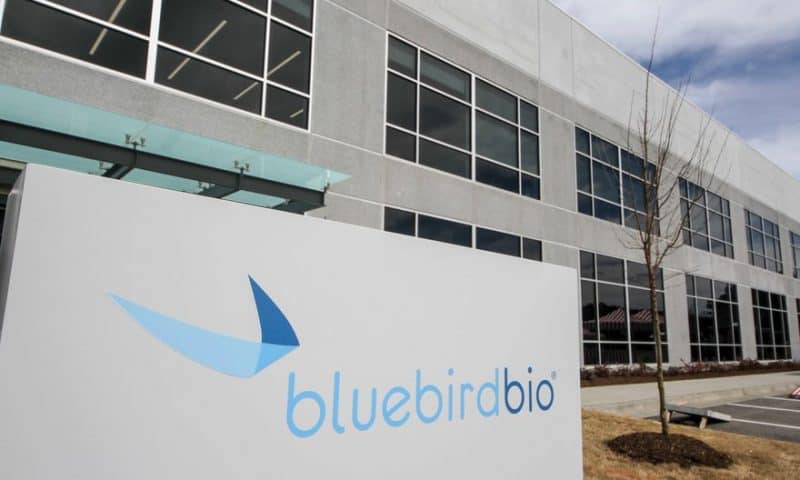 Bluebird bio CMO quits amid a roller coaster year and upcoming split