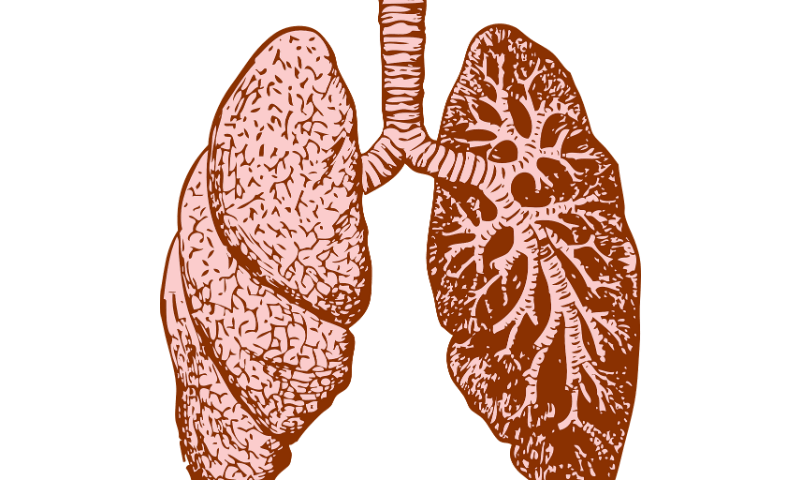 Translate Bio’s mRNA fails to improve lung function in cystic fibrosis patients
