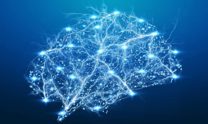 Is AI the key to unlocking the mysteries of Alzheimer’s? Neuroimaging startup Imeka is betting on it