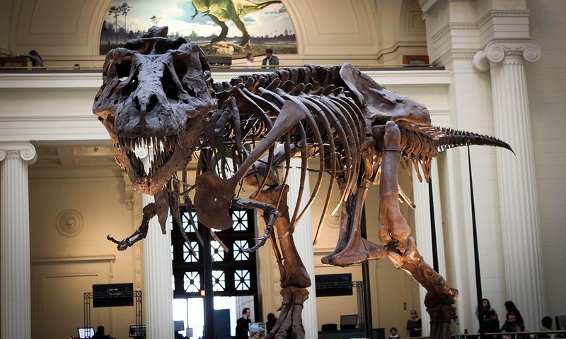 TRexBio has Jurassic day picking up ex-Lilly VP as CEO, snagging Big Pharma funding