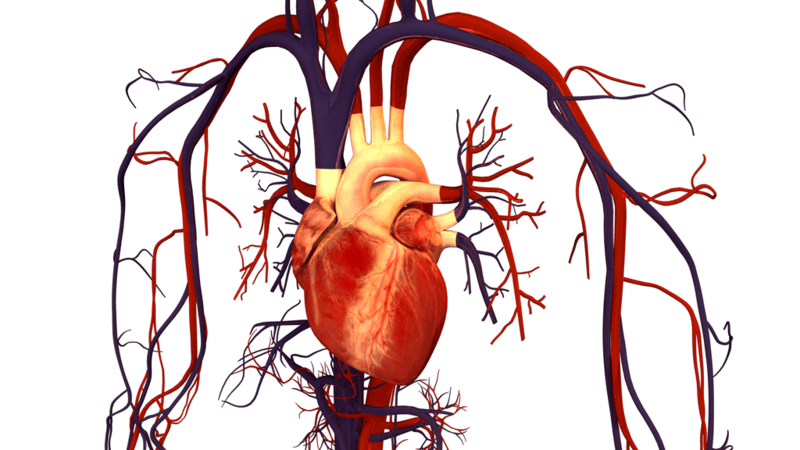 Abiomed acquires preCARDIA and its catheter-based system to treat heart failure