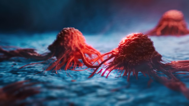 Turnstone Biologics rounds up $80M to fly cancer-killing virus, TIL treatment through the clinic