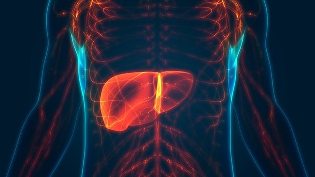 Dicerna’s RNA-silencing drug curbs harmful protein in rare liver disease