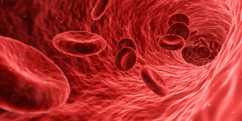 FDA puts Sigilon’s hemophilia cell therapy trial on hold thanks to safety concerns